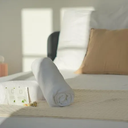 The Cathedral View Reims