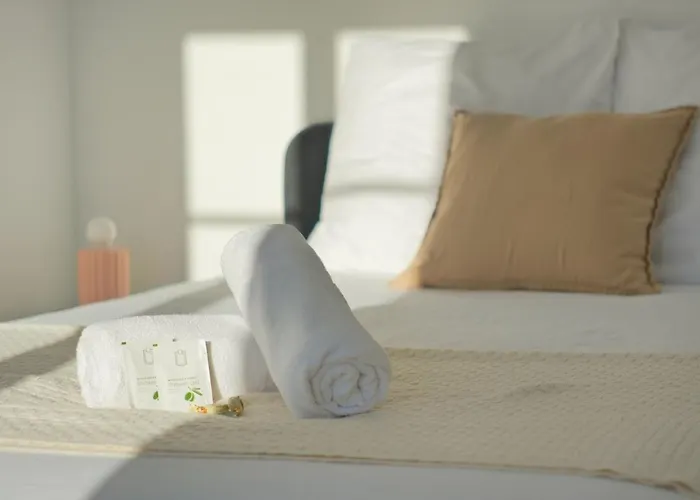 The Cathedral View Reims